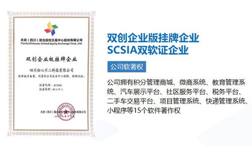 成都軟件開發 自建團隊與外包服務，如何選擇更優？